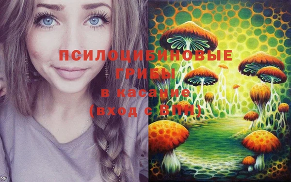 круглые Касимов
