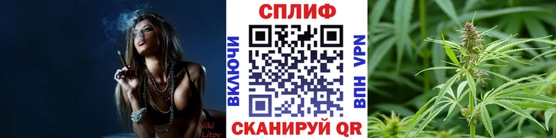 Марихуана VHQ  Купить закладки  Горбатов 